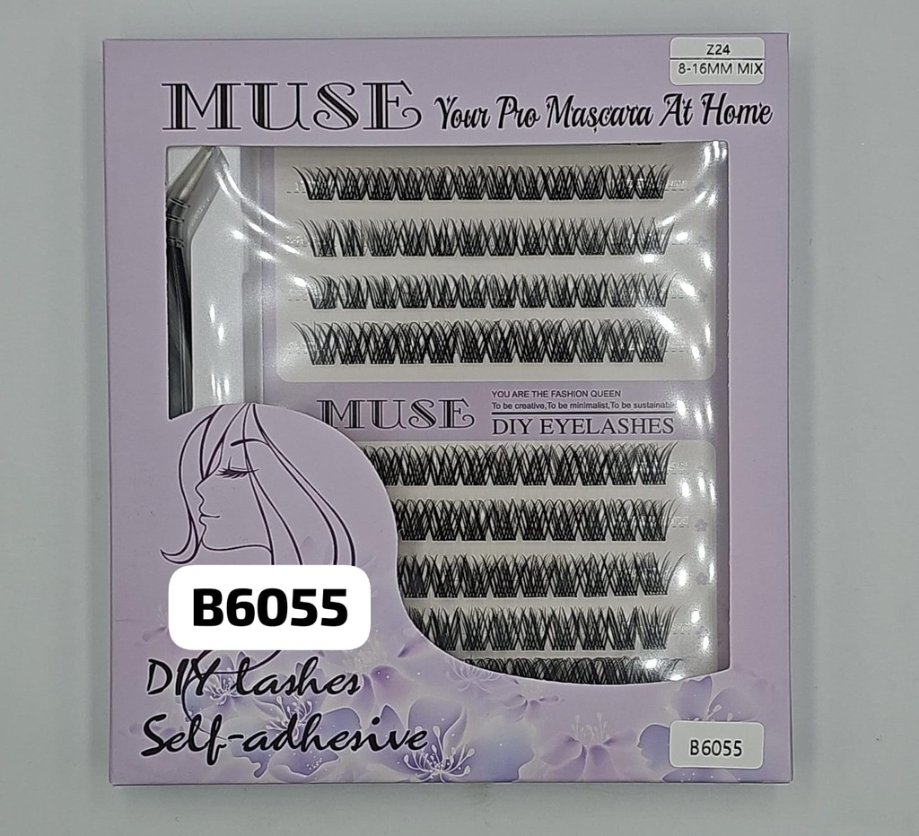 B6055