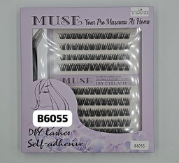 [B6055] B6055